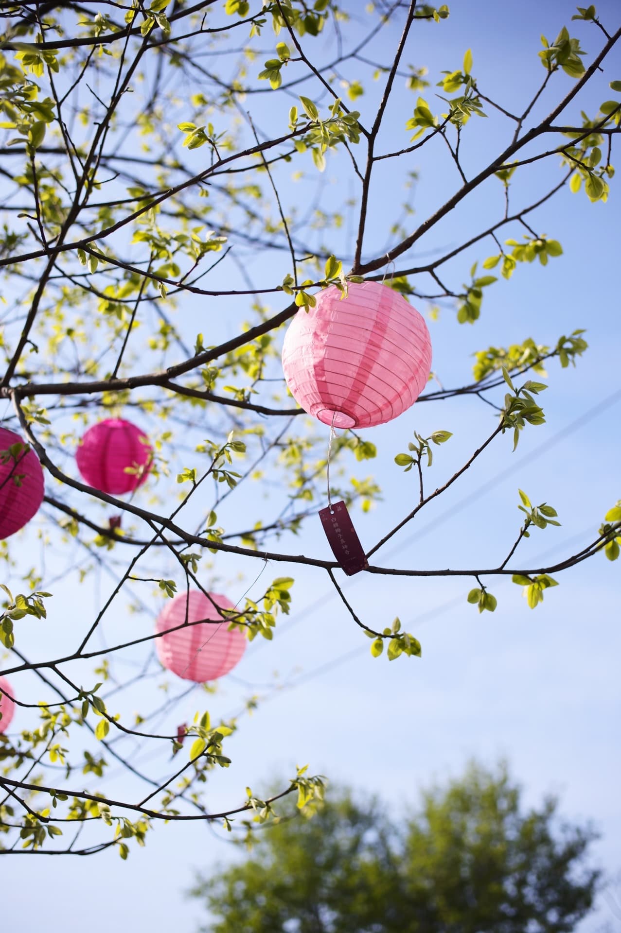 The sunshine is infinitely good