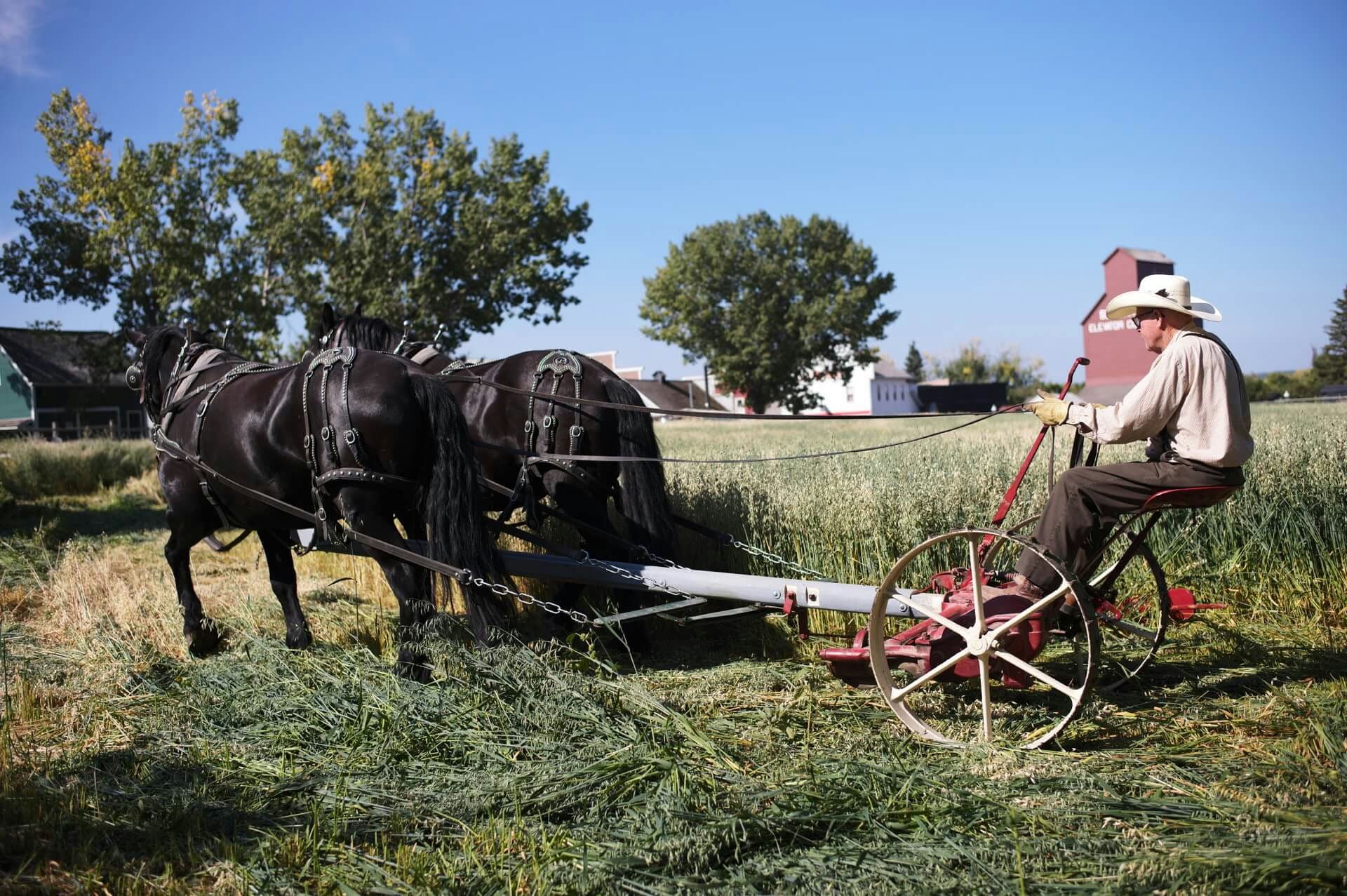 A wonderful performance