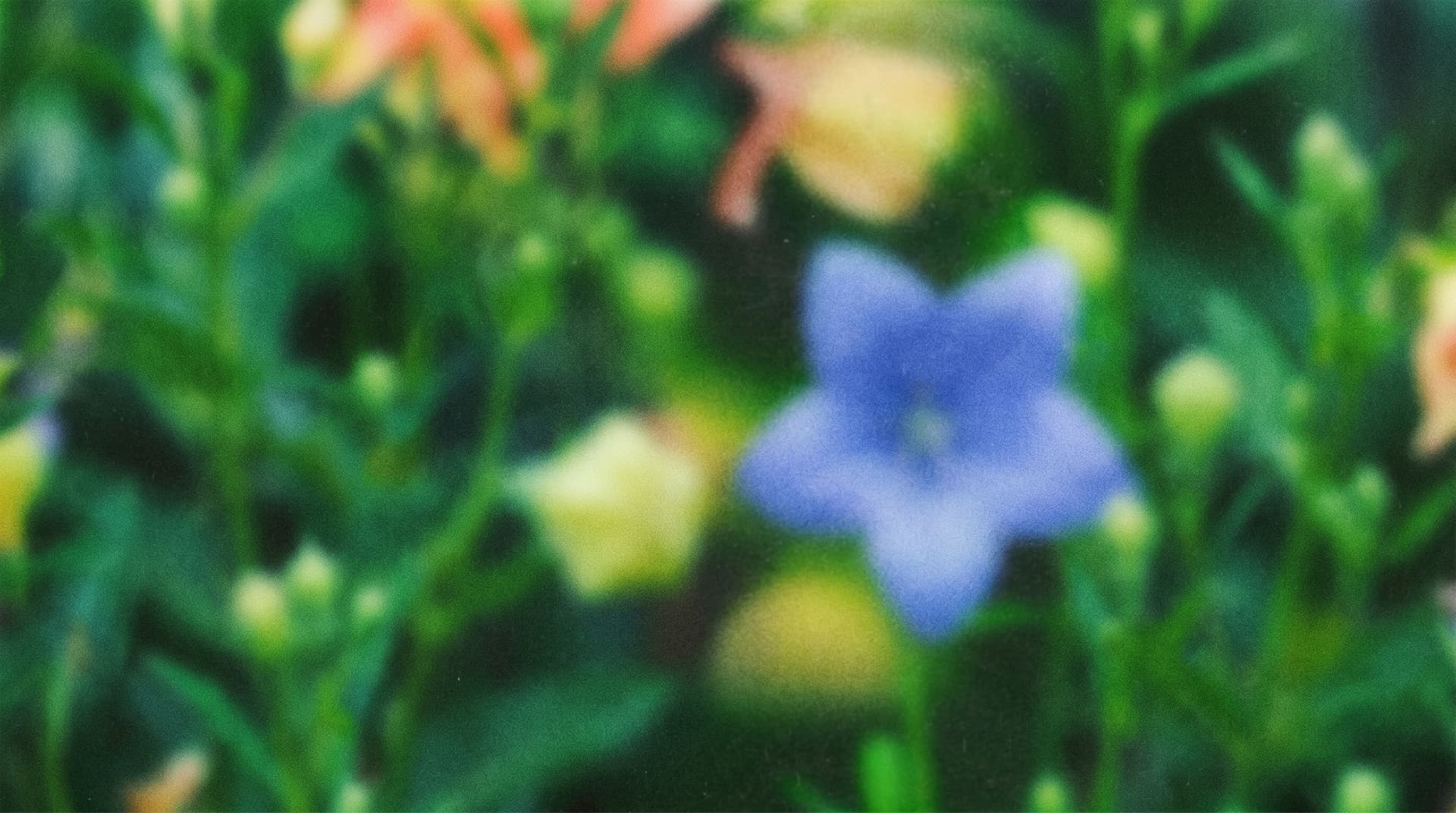 Stop Hiring. Start Deploying Agents