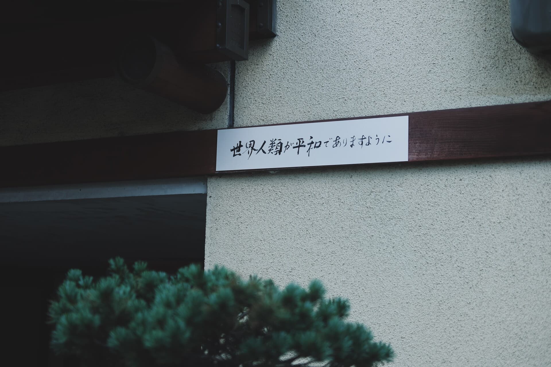 Hope for world peace