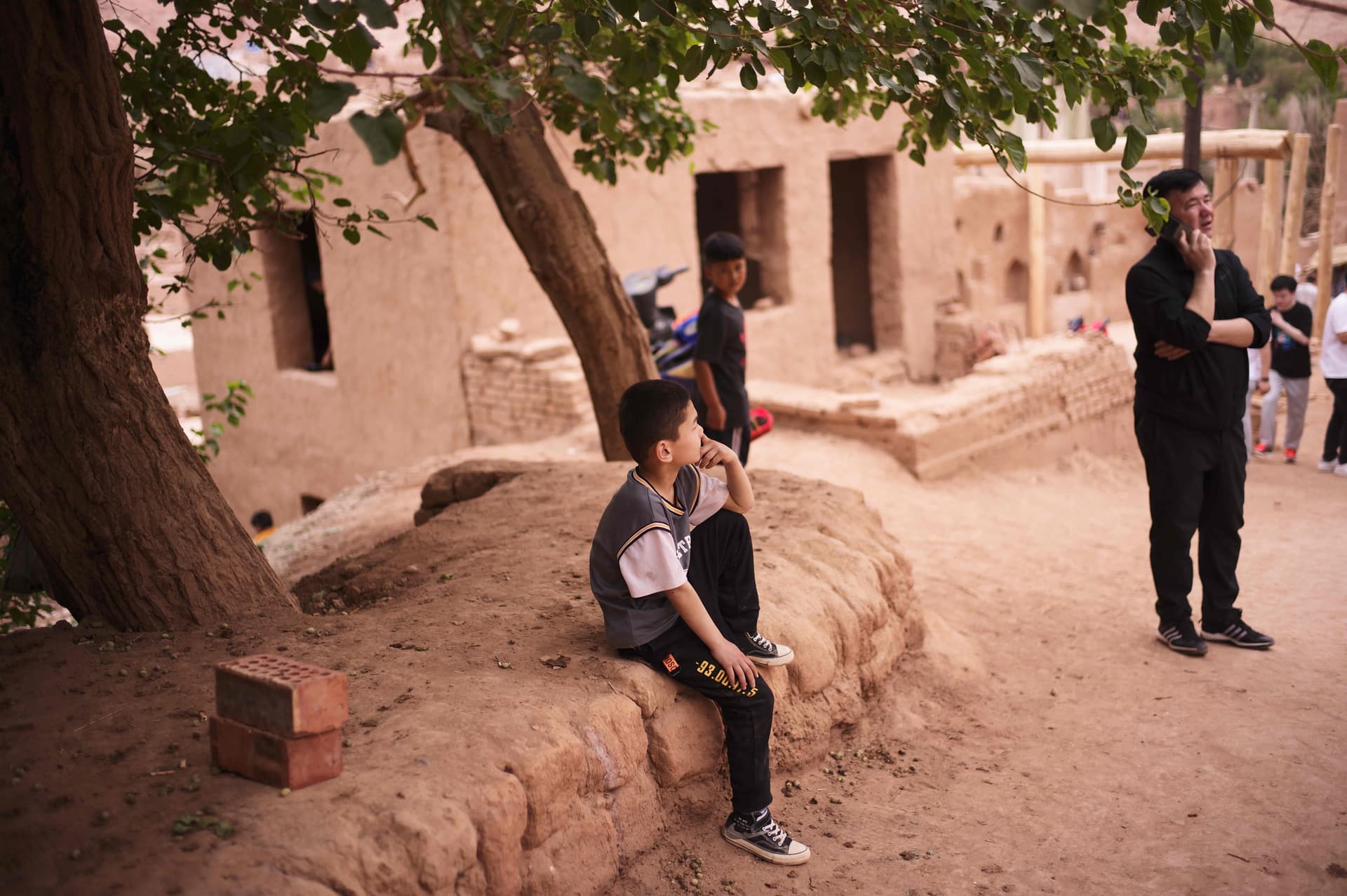 The boy under the tree