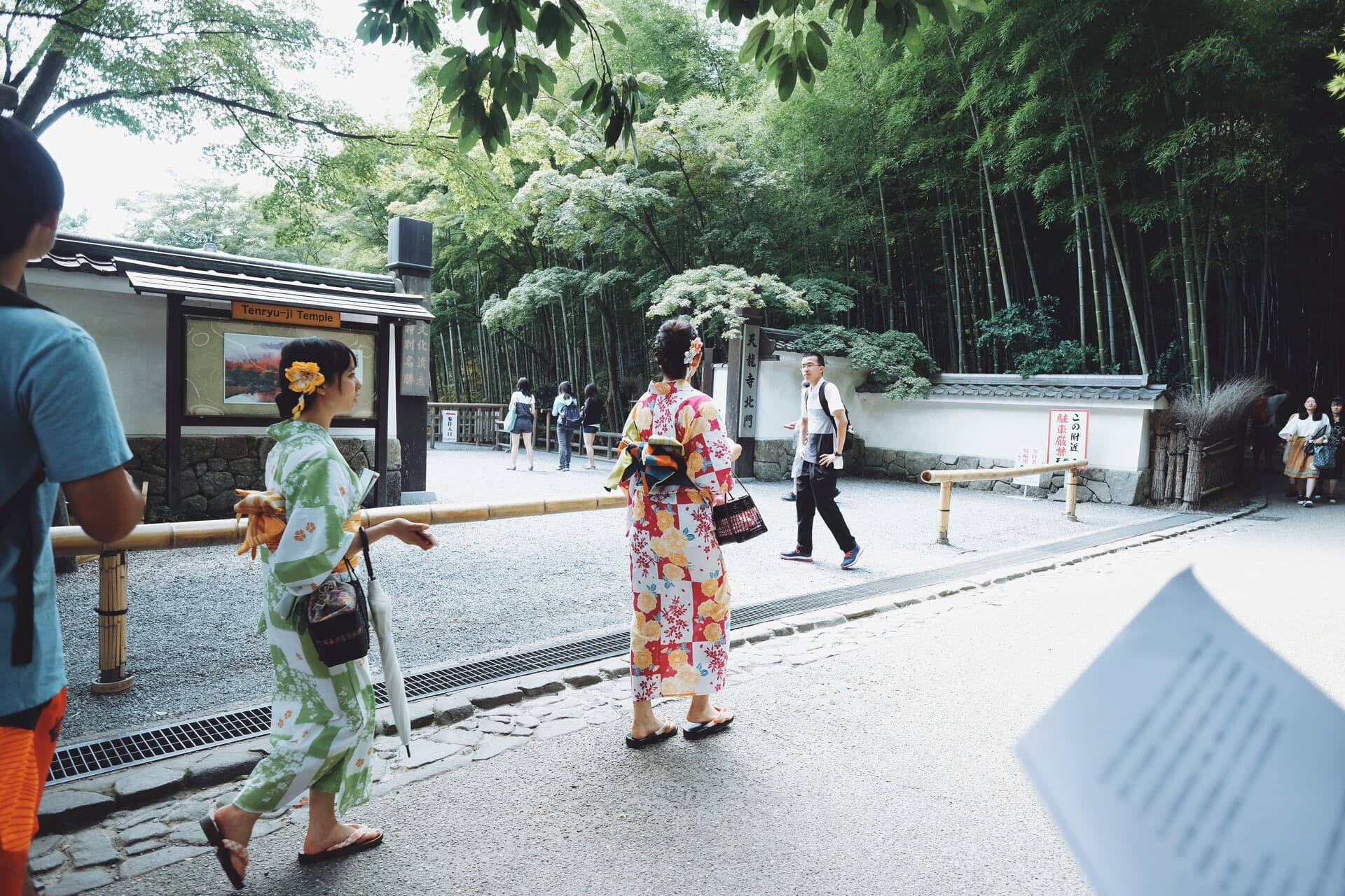 Walking in the bamboo forest